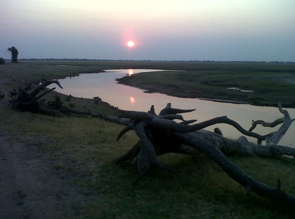 Magical sunset over the #Chobe river #Botswana #LostInBots via @Bush_Ways Thanks for sharing!