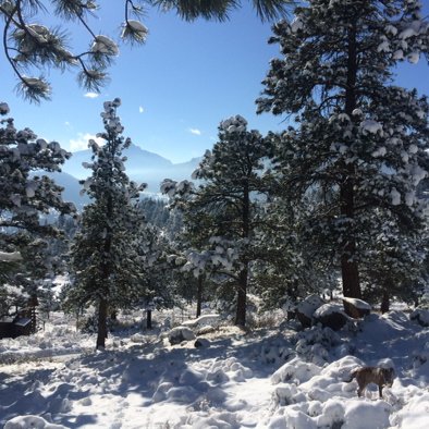 KentMtnAdvCtr's tweet photo. We love snow! Come visit us in Estes Park! https://t.co/urV7TZnSoL