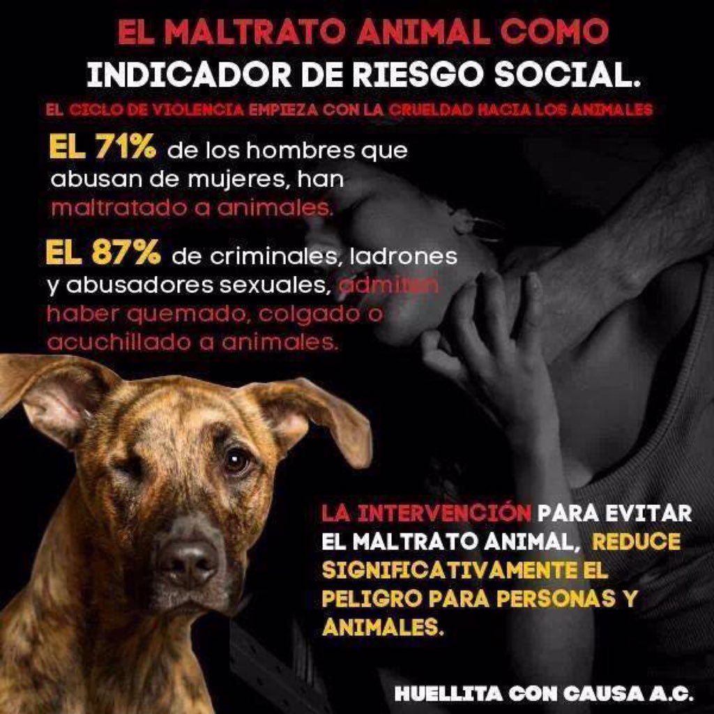 patrmarsh's tweet photo. El maltrato animal como indicador de Riesgo social. https://t.co/buan7MgCU7
