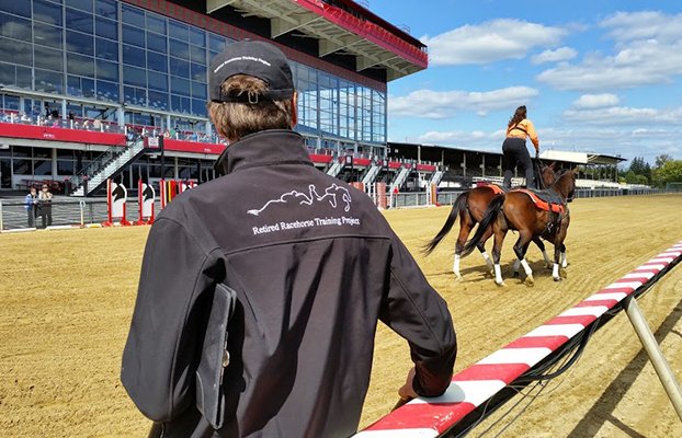 Maryland Thoroughbred tweet media