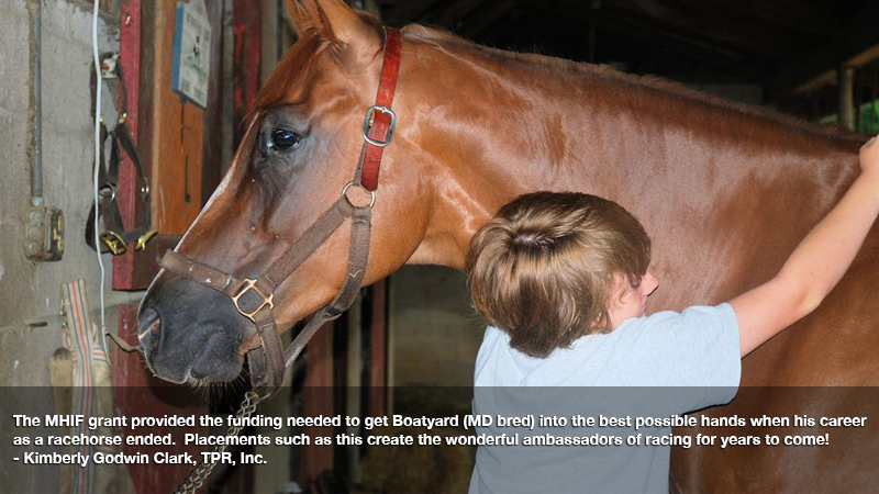 Maryland Thoroughbred tweet media
