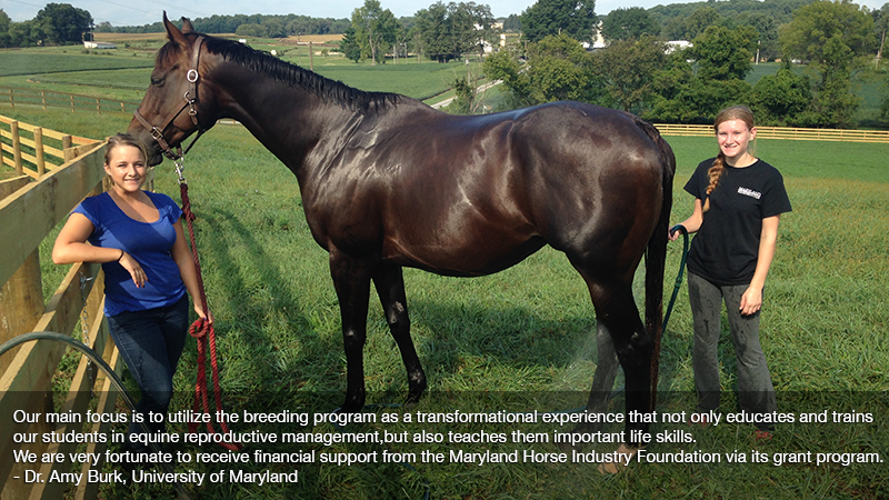Maryland Thoroughbred tweet media