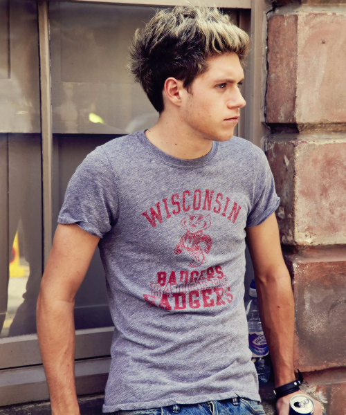 UWMadison's tweet photo. On, Wisconsin. #WeLoveYouNiall https://t.co/Y8kuRbLKaM
