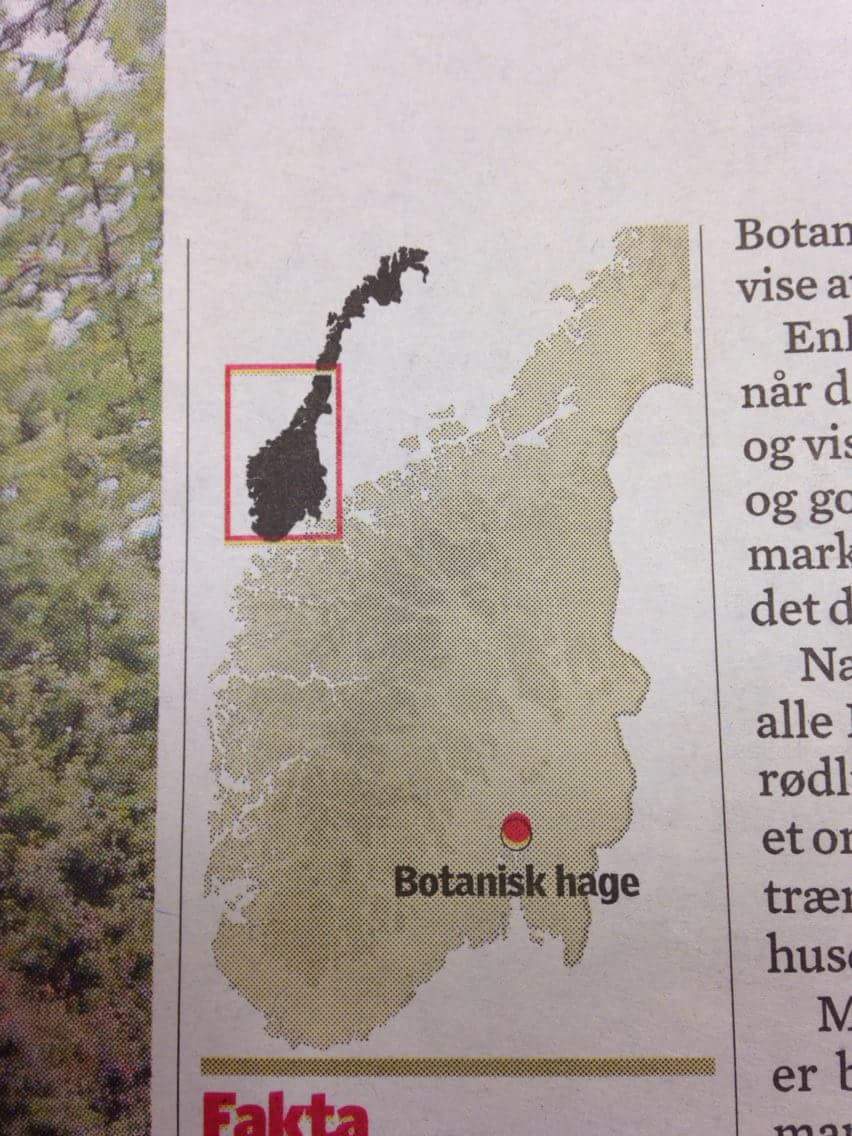 KartBedrag's tweet photo. Siden jeg glemte å legge ut utsnittsbommerten i forrige uke, henter jeg fram en favoritt fra 2014... #botanisk https://t.co/TC0PsReg51