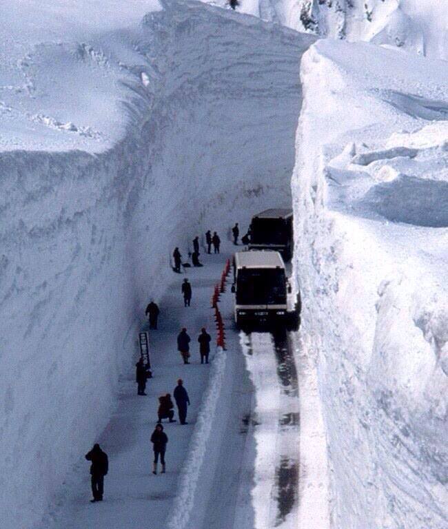 Их цас бол байгалийн гамшиг, харин энэ гамшгийг жуулчдад үзүүлж мөнгө болгож болдог. Хоккайдогийн цасан хонгил зам