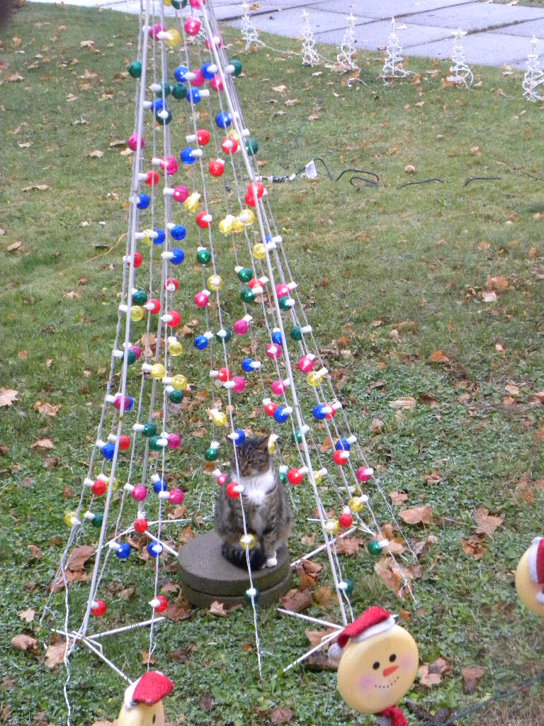 The princess and the tree