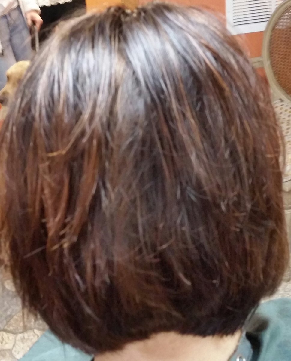 Hair2Dye4Chi's tweet image. #falltones #sassybob
