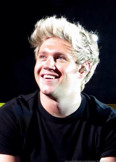 ImNiallsMichael's tweet photo. NIALL JAMES HORAN IS THE ONE THE MAKES ME SMILE EVERYDAY ESP WHEN IM SAD

 #WeLoveYouNiall
#MTVStars One Direction https://t.co/RMVgfbwKXB