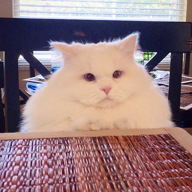 غريبة tweet media