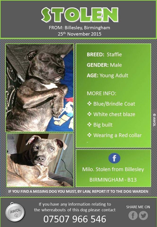 CandygirlHowell's tweet photo. please share far and wide lets get milo home https://t.co/Qr2jAlEvGI