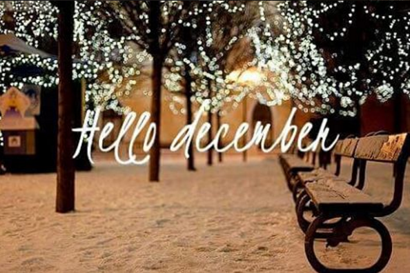 ajlsd2's tweet photo. Hello December!  #winter #hotchocolate #cozy https://t.co/9EhzmBs6n9