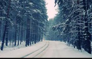MyImpress's tweet photo. #Hello #December ❄️ 
Please be wonderful... https://t.co/DZW7wSwFLT
