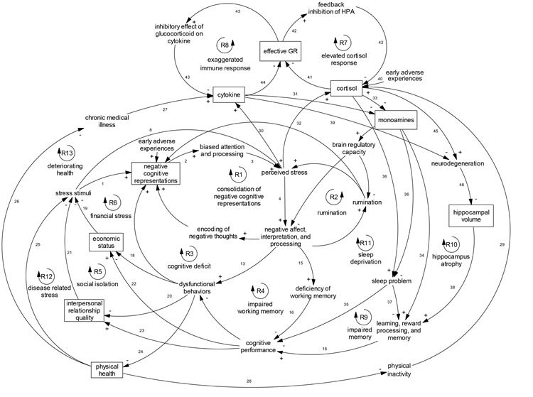 A Better Understanding of Depression neurosciencenews.com/complex-model-… #psychology #depression #neuroscience #science
