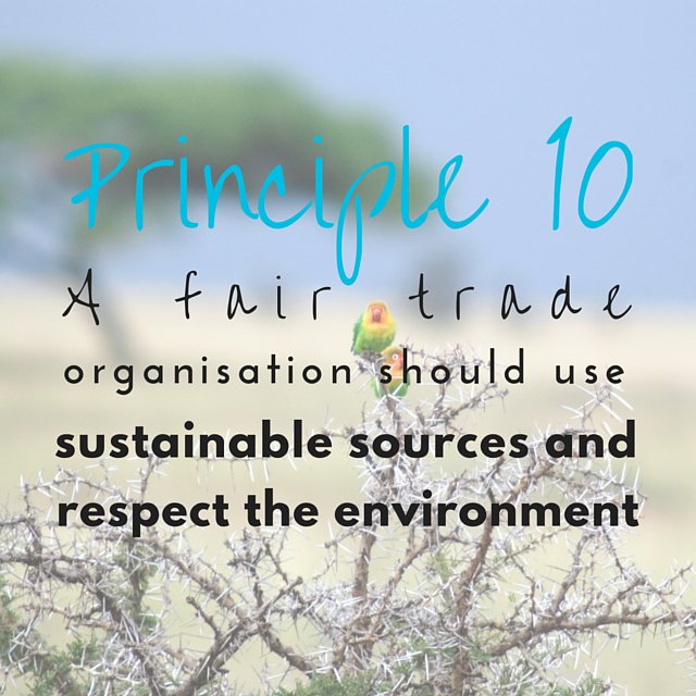 FairTradeNSW's tweet photo. #FairTrade should care for the #environment. #eco #sustainable #nswfairtrade #fairtradeaware https://t.co/iioft0DDBL https://t.co/6q4tAyiSTN