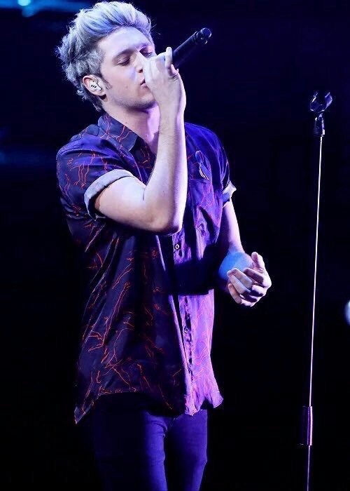 MonzeReyna1's tweet photo. Perfecto👌��  #WeLoveYouNiall https://t.co/v2IMUGziZz