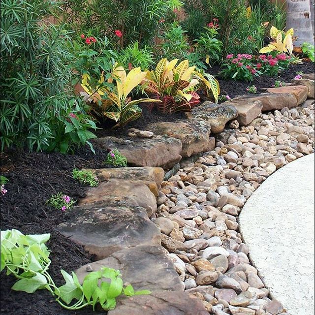 Makeyour_Garden's tweet photo. https://t.co/vaBEWxe2ii