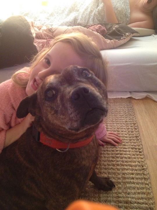 Bianca94carter's tweet photo. Sleep tight Molly, love you forever 😭💔🐶 https://t.co/Ozhp7H2Sdn