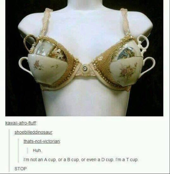 mdmfks's tweet photo. Best picture on the Internet https://t.co/XVwB8nYIBf