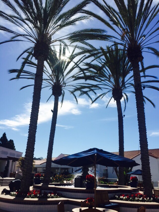 Guofang Li tweet media