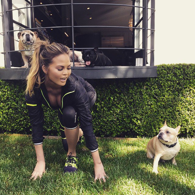 organiclena's tweet photo. #Celebrity french bull #dogs with their owner #ChrissyTiegen enjoying the day. https://t.co/BrISyg3vWq