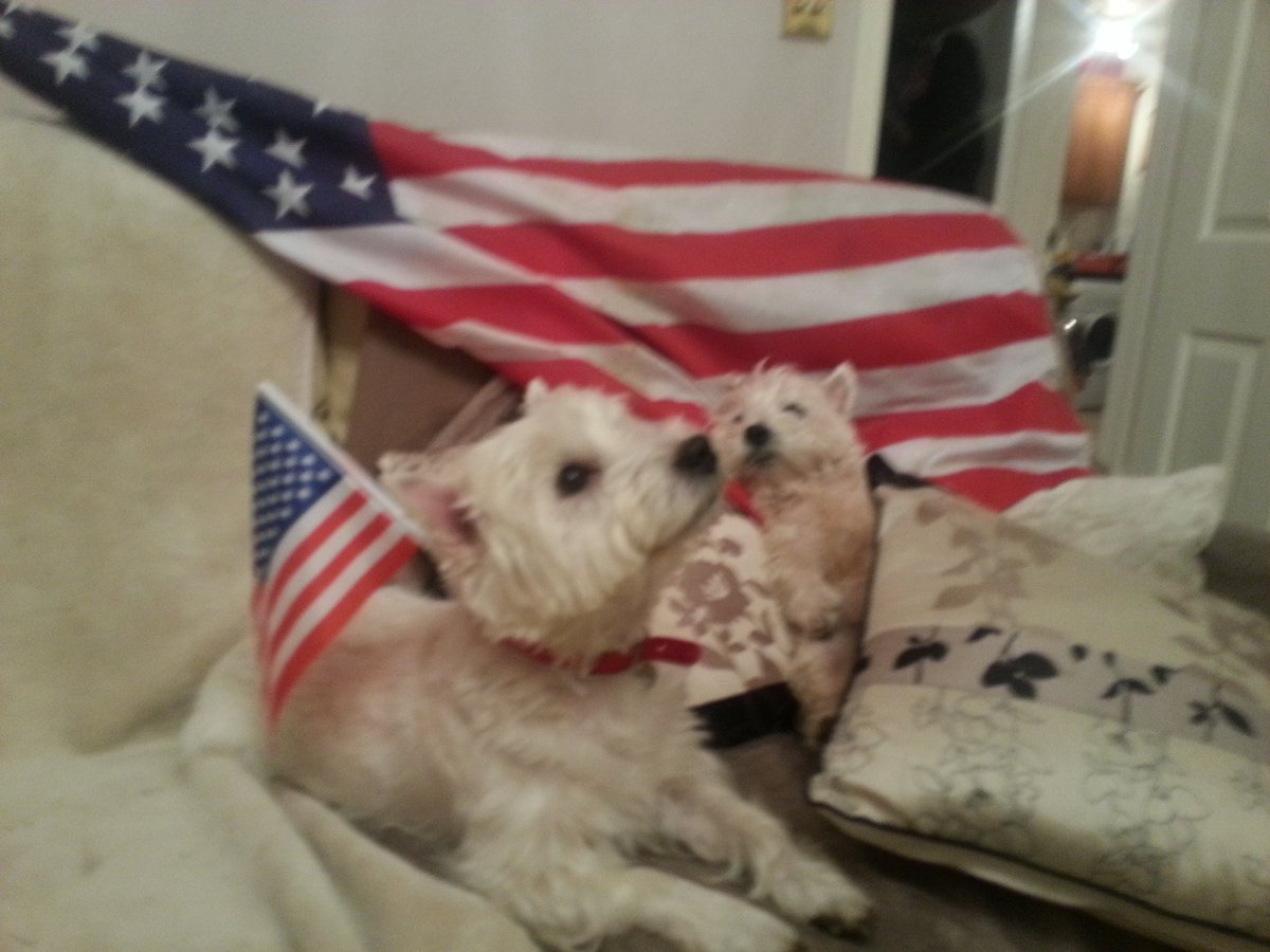 Big build up here in UK for the semi finals on Friday,,,,,,,,,come on you Duhawks !!!!!!!!!!!!!!