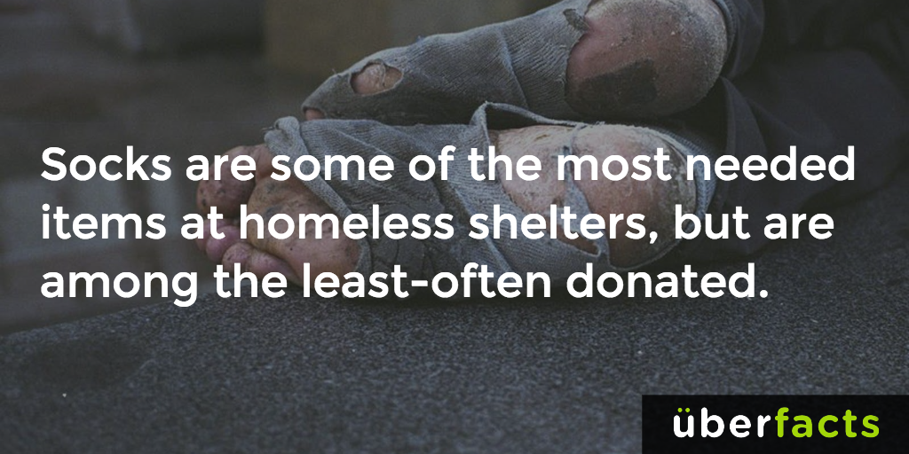 UberFacts tweet picture