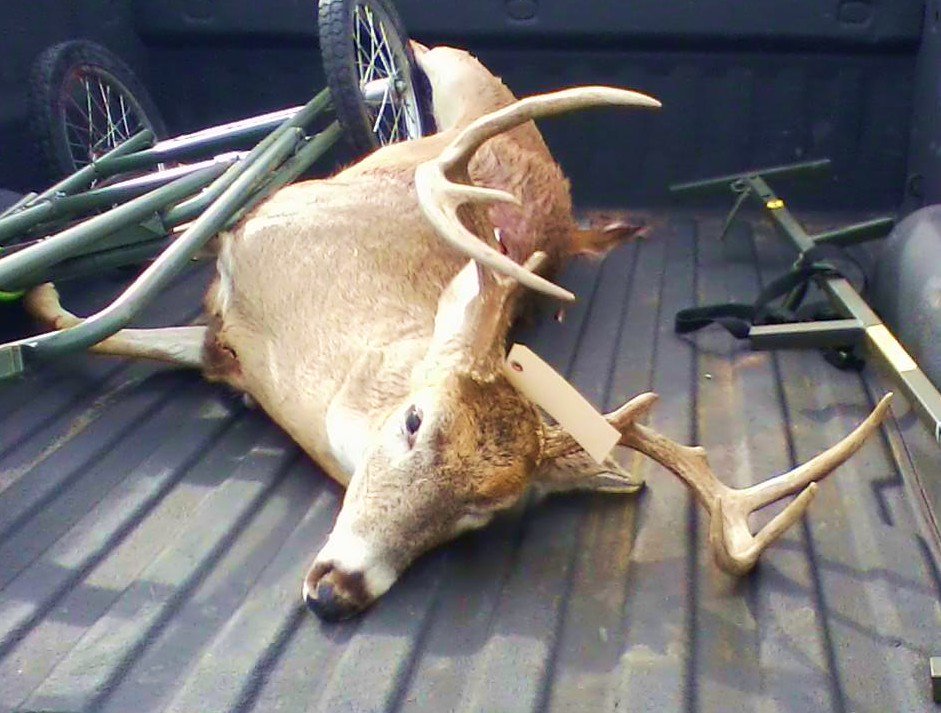 okdeerprocessor's tweet photo. Cody Moore got a nice buck! Congrats!    #meatinthefreezer #bringusyourkills #mudcreekprocessing https://t.co/ba0fChPbF9