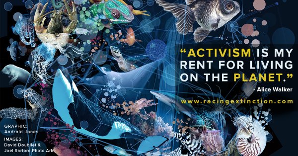 free_dive's tweet image. Watch @PerformanceFI in amazing doc w/ @RacingXtinction ht.ly/Vm3Gw via @VanityFair #StartWith1Thing