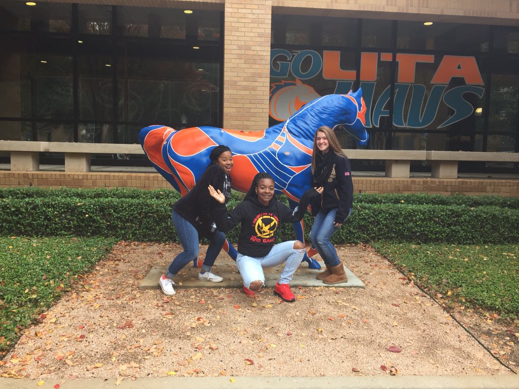 Mirleaschool's tweet photo. University of Texas at Arlington 💙 https://t.co/Rn9jsXI3J9
