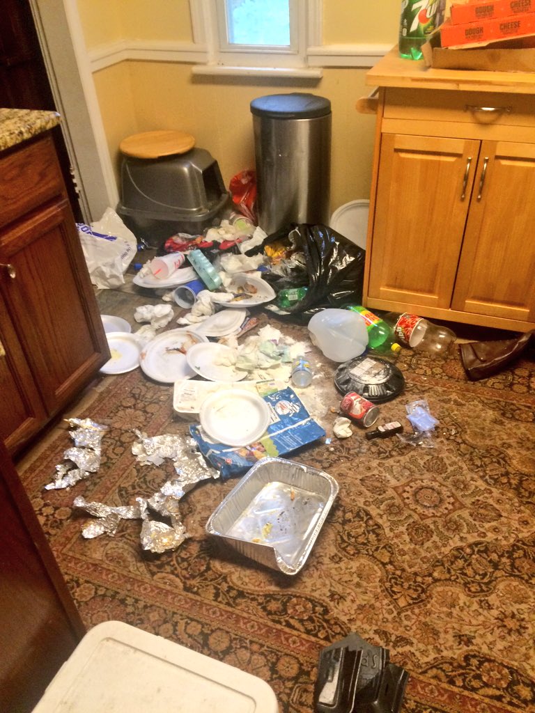 HowBoutHemmings's tweet image. i woke up to this today 🙂 #ThankfulForPets #MTVStars One Direction