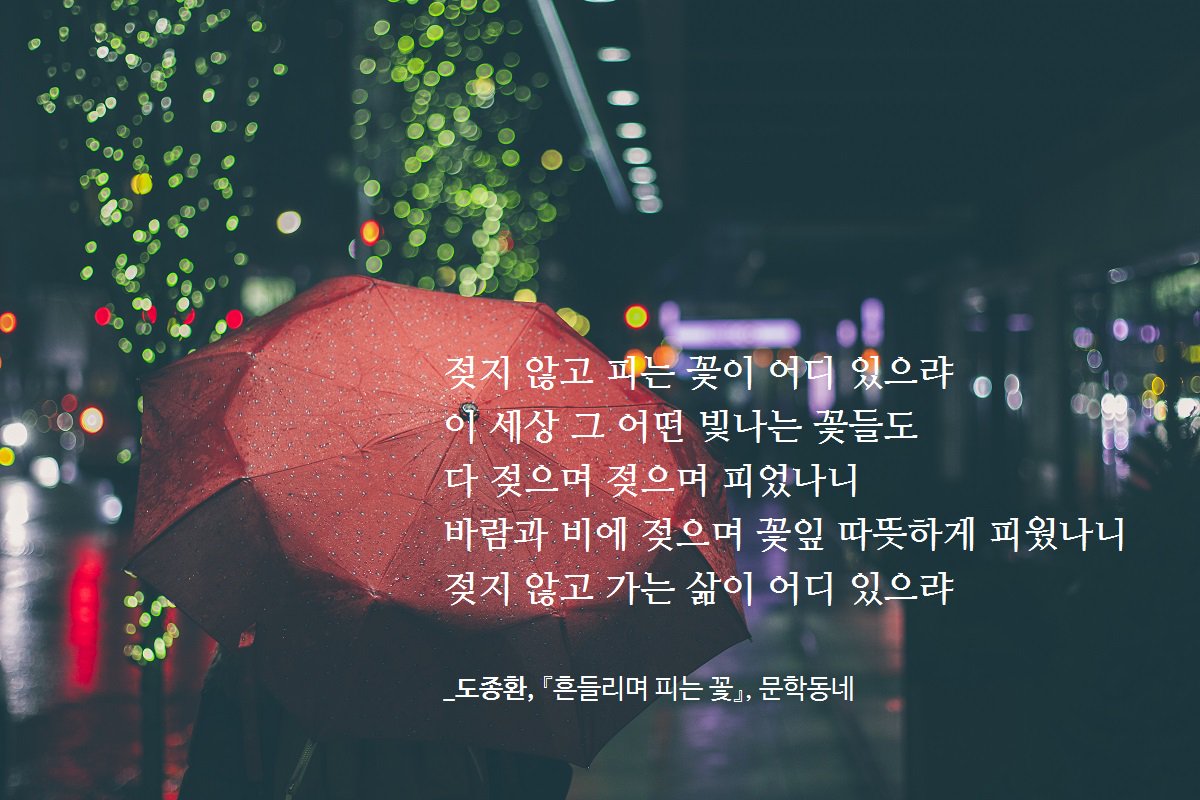 munhakdongne's tweet photo. 젖지 않고 피는 꽃이 어디 있으랴
이 세상 그 어떤 빛나는 꽃들도
다 젖으며 젖으며 피었나니
바람과 비에 젖으며 꽃잎 따뜻하게 피웠나니
젖지 않고 가는 삶이 어디 있으랴

_도종환, 『흔들리며 피는 꽃』 https://t.co/q3yHbcJIRa