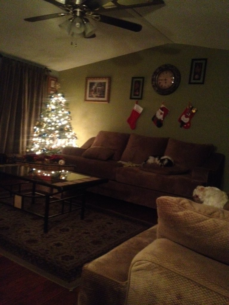 chrisloping's tweet image. Feeling the Christmas Season