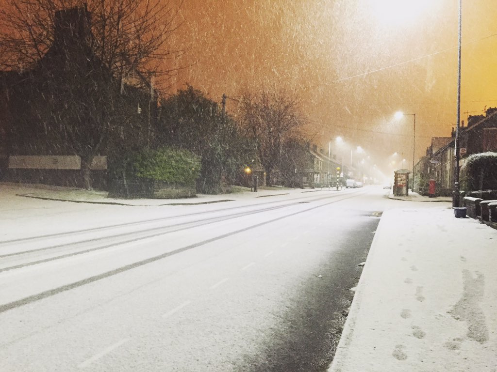 penny_723's tweet image. Newbie here #testingpost