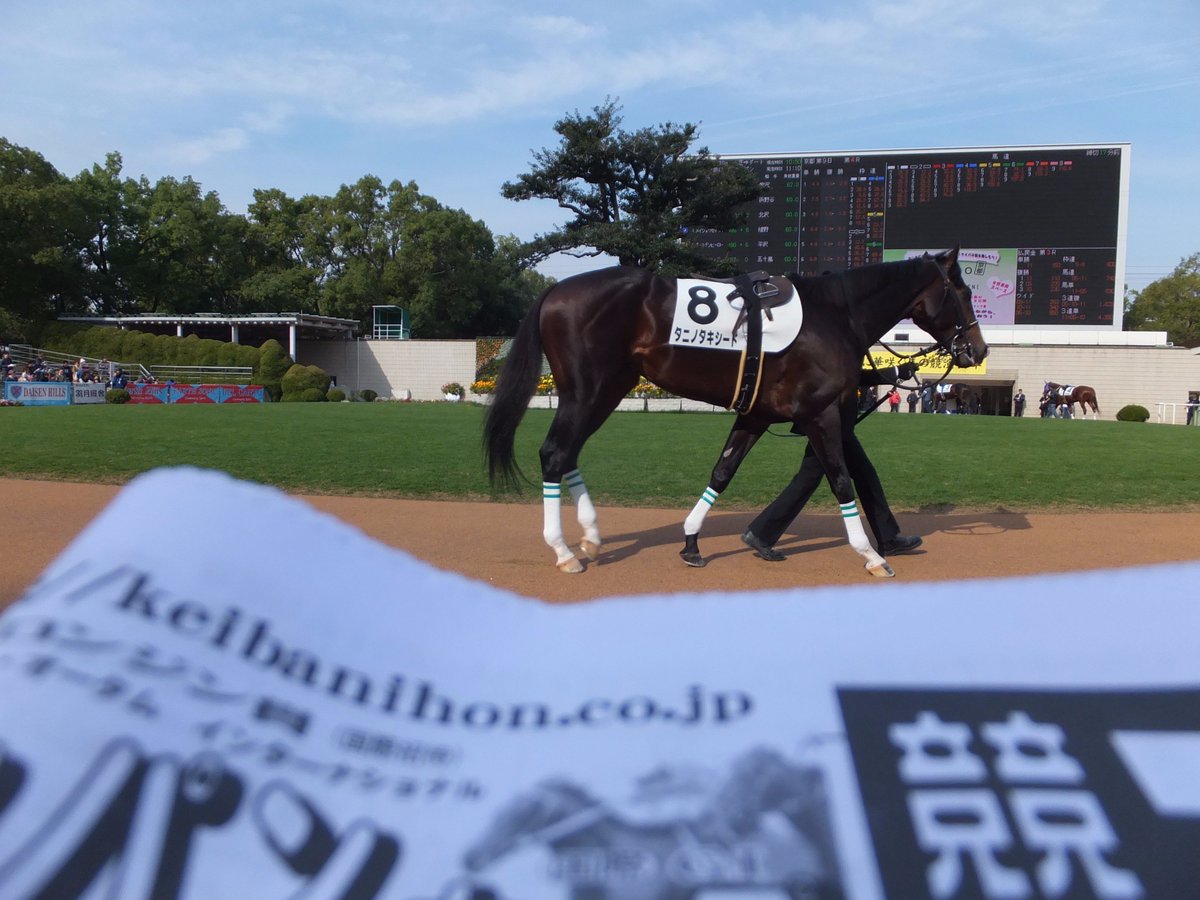 競馬ニホン歳時記 公式 日本のサイアーラインのポスターが売られていたそうです カッコイイ ちなみに京都競馬場の新聞売店でカレンダー発売中です パークウインズ時も販売されますのでぜひご利用ください 淀駅アンスリーでも発売しています 競馬