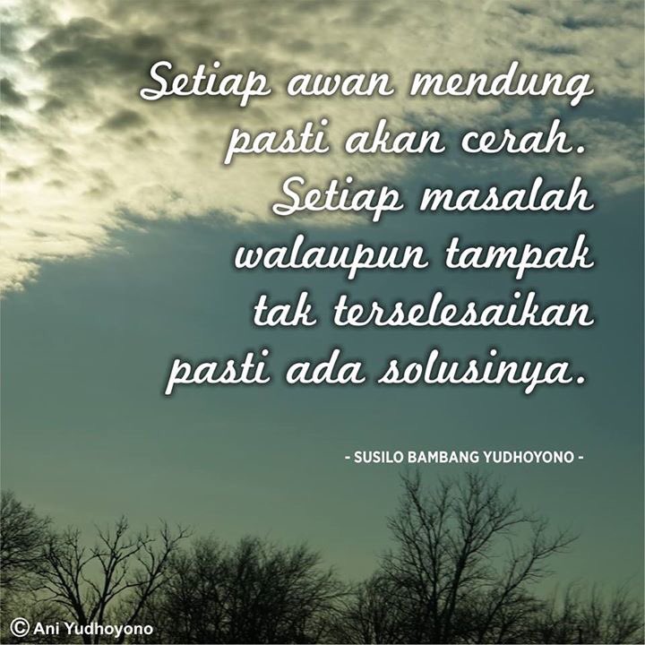 halumi35 tweet picture