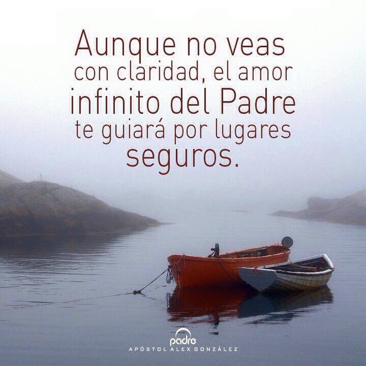 fernandth1's tweet image. 