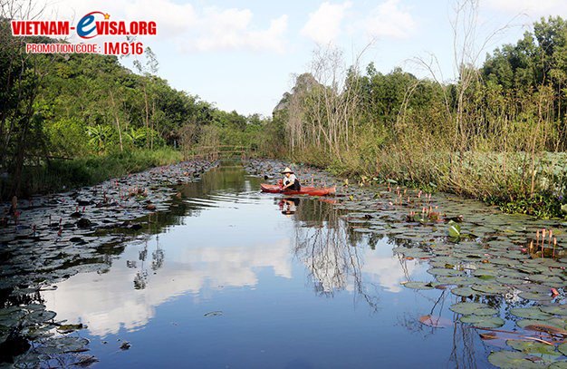VNEvisaOrg's tweet photo. WATER LILIES BRING PICTURESQUE BEAUTY TO VIETNAMESE STREAM
https://t.co/xpfgPQWwvC
#vietnam,#yenstream https://t.co/9E0cMRMzDn