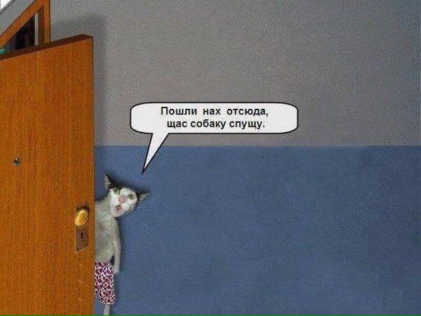ksbeel's tweet photo. Ору https://t.co/PRq50LYEqV