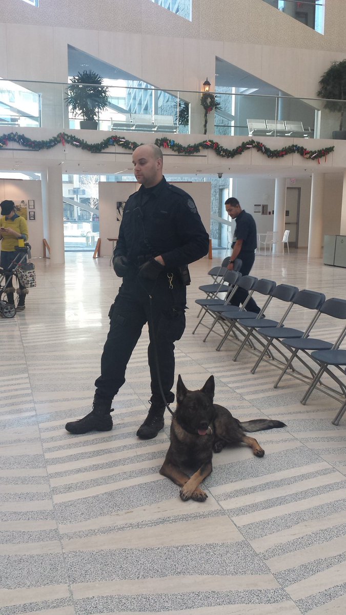 CityHallSchool's tweet photo. Pretty accurate sketch of #PSDFallon. Many Steinhauer students now want to work for @EPSCanine.#CareerPathways #epsb https://t.co/144vmrSn7Q