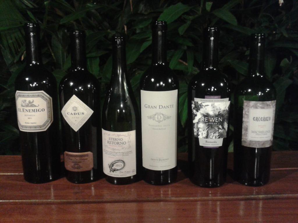 ARGysusvinos's tweet photo. Podio oficial segunda tanda #MiniDFBonarda https://t.co/D7aRXf8vUI