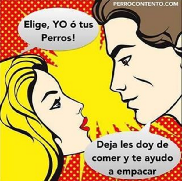 sofiiafv's tweet photo. Esoooo https://t.co/umBehx3vds