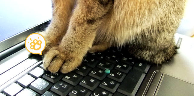 Twitter এ Chatwork 国産クラウド型ビジネスチャット 使い方解説 ショートカットを使いこなすと 速い 楽 確実 な操作が シーン別にまとめてみました T Co 3ti6pjiqac チャットワーク資料配布中 T Co Utyince22h T Co H2ehhmze87