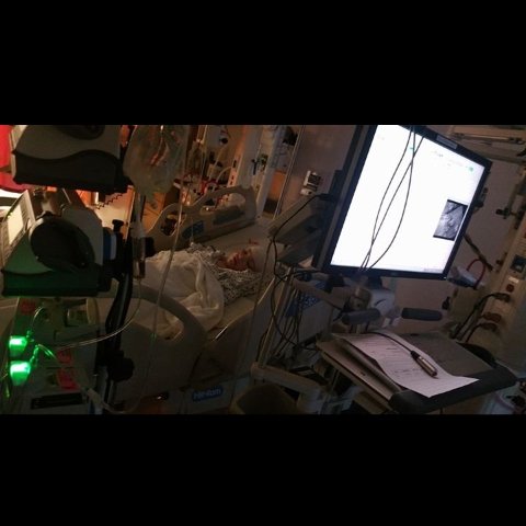 mgilliland_21's tweet photo. #PrayForWaylon #CannabisIsMedicine https://t.co/wRd82XBYn9
