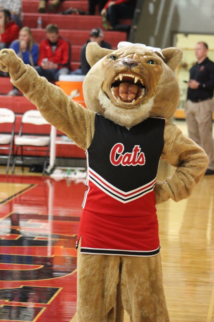 PCCatNation's tweet image. The PC Wildcat @PendletonCheer