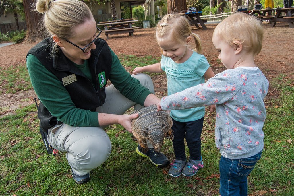SacramentoZoo's tweet photo. A4 Inspiring kids to respect/love nature &amp; save species! #smcsacchat #givingtuesday https://t.co/DhEHYVExQH https://t.co/ZmKce68Jz4