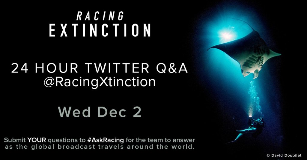 Join the #RacingExtinction team for a LIVE Q&amp;A on Twitter! Post questions to #AskRacing