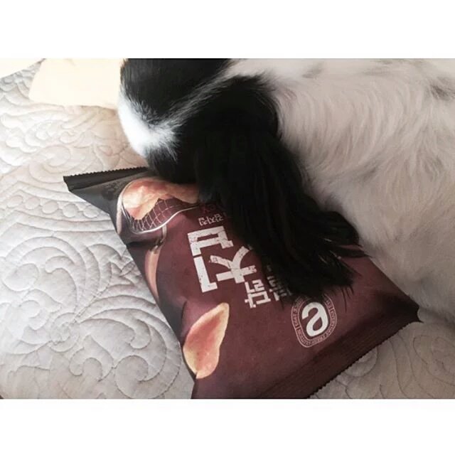 T_ARAPETS's tweet photo. IG - #Hyomin #Youngmini
"누나가 편하다고 다 베개아니라고 말햇찌"

😂😂 https://t.co/7Tvg4ZLIay