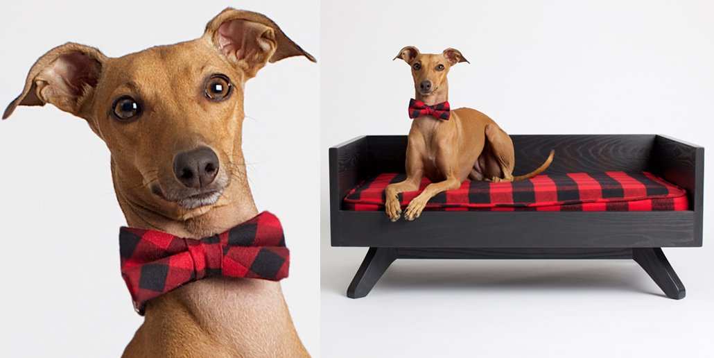 iggyjoey's tweet photo. Don't get mad, wear plaid. #wordstoliveby https://t.co/xCZRPrscmn https://t.co/n6Jis924H5