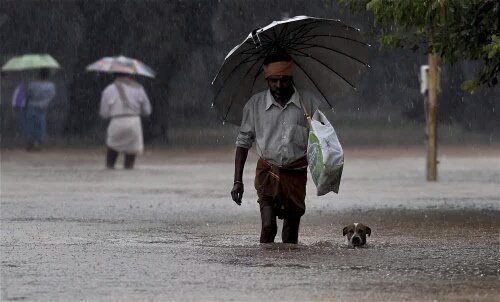 TimesNow's tweet photo. #ChennaiFloods Helpline numbers

044-29015204
044-29015208
044-28190216
044-25330714

RT and spread the word https://t.co/wpE7HbccHU