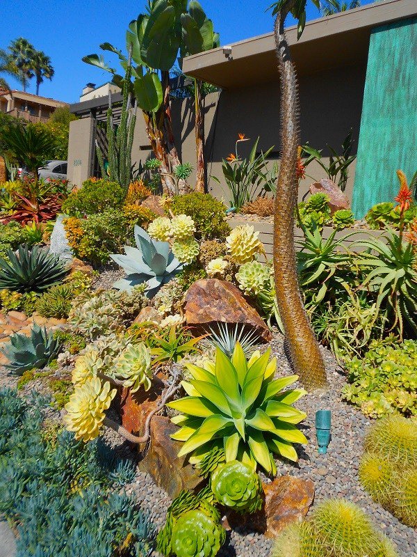 Beautiful Succulents - Cactus Gardens - mostbeautifulgardens.com/2015/12/02/bea…